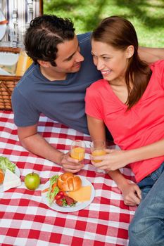 Two smiling friends looking into each others eyes while they hold glasses as they lie on a blanket with a picnic
