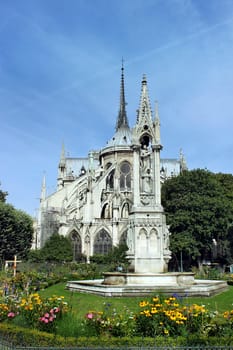 Vertical view of Notre Dame de Paris Cathedral, France