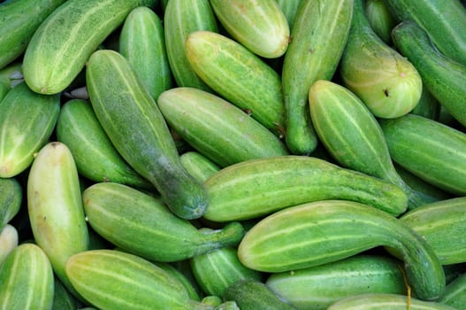 Cucumbers bunched together For Sale At Market