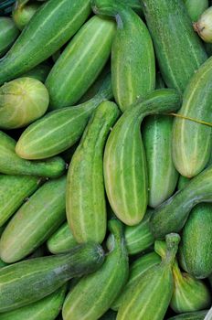 Cucumbers bunched together For Sale At Market