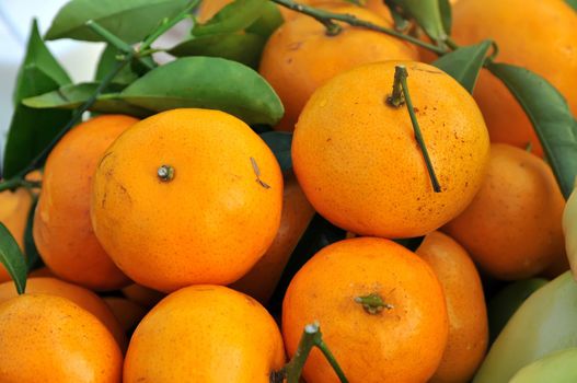 Orange Pile high on a market stall 