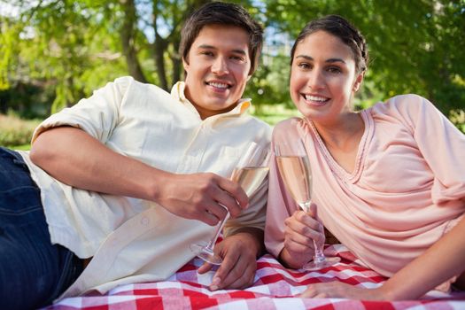 Man and his friend smiling happily while holding glasses of champagne during a picnic