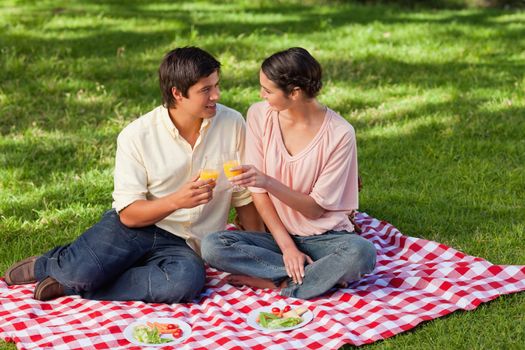 Man and a woman looking at each other while raising their glasses of orange juice during a picnic