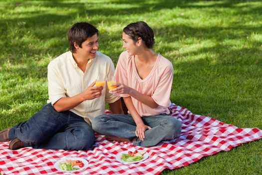 Man and a woman smiling while raising their glasses of orange juice during a picnic