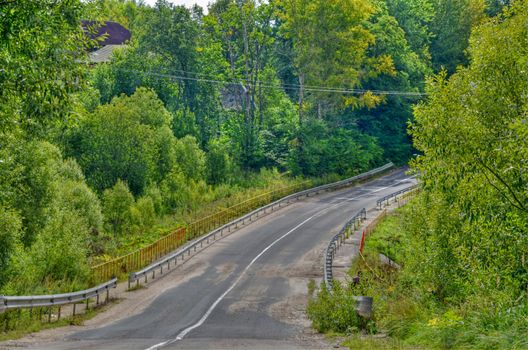 Kind on road going through wood, Moscow Region