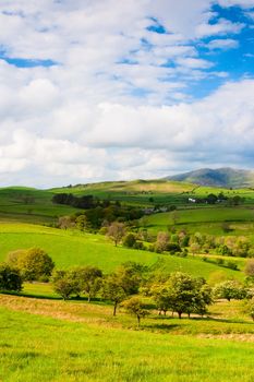 On the pasture in Yorkshire Dales in Great Britain