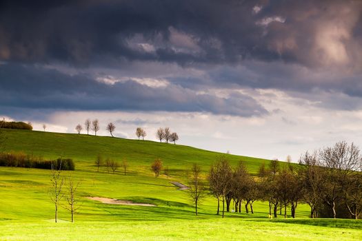 The small trees on golf course before storm