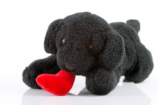 The puppy toy holds heart on mouth