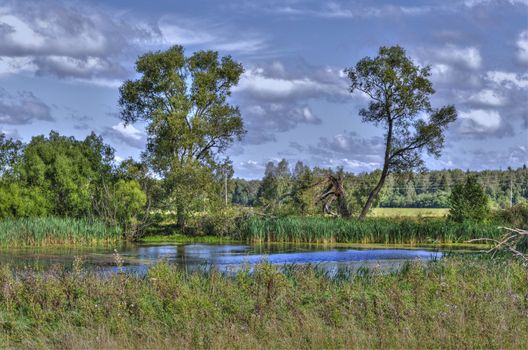 Small lake near to village Konstantinovo Sergievo-Posadsky of area of Moscow Region