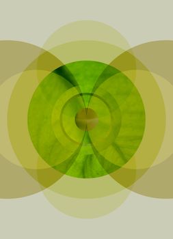 Abstract illustration of green and yellow symmetrical circles