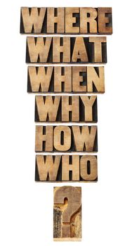 who, what, where, when, why, how questions  - brainstorming or decision making concept - a collage of isolated words in vintage letterpress wood type