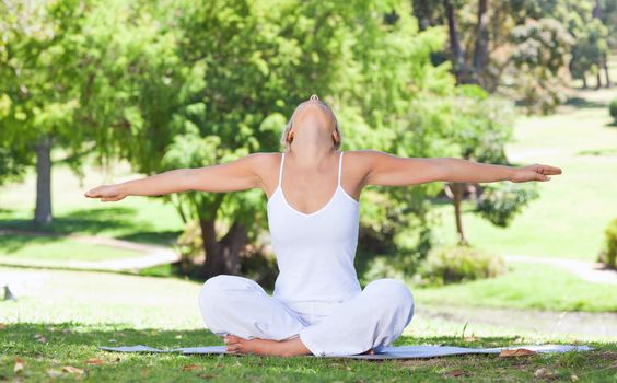 Young woman on the lawn doing yoga exercises