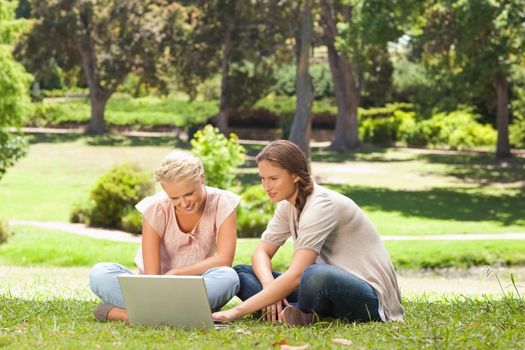 Female friends sitting on the lawn with a laptop