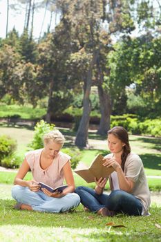 Female friends reading their books in the park