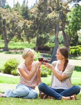 Female friends clink glasses of wine in the park