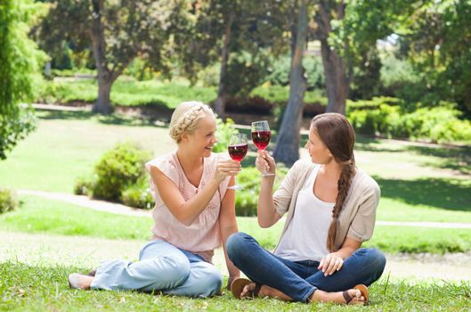 Female friends having a glass of red wine in the park