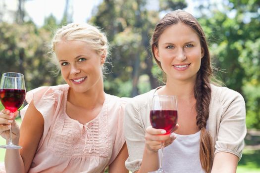 Smiling female friends having red wine in the park