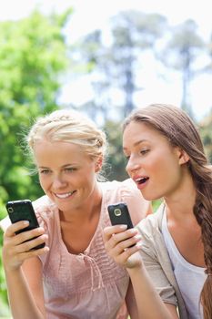 Female friends in the park with their cellphones