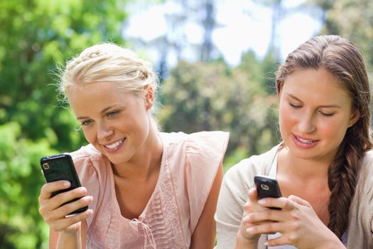 Female friends writing text messages in the park