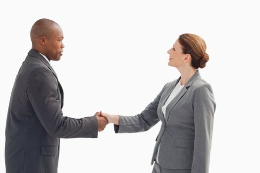 A businessman is shaking a businesswoman's hand
