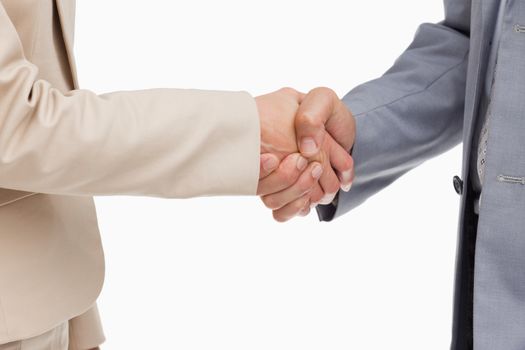 Close-up of people shaking their hands against white background