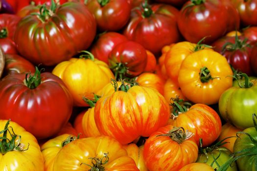 Pile of  red, orange, green and yellow Heritage Tomatoes at the farmers market