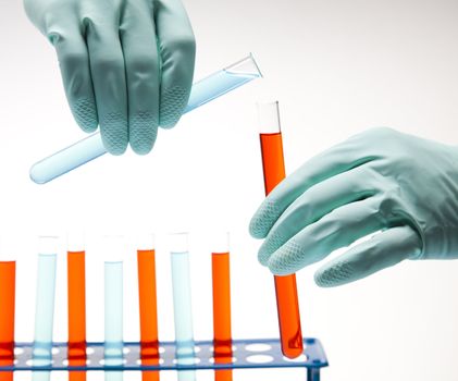 Laboratory