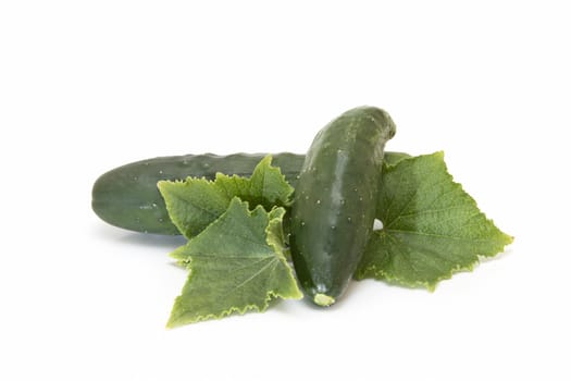 Cucumbers with its leaves isolated on a white background
