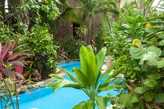 Tropical Resort
