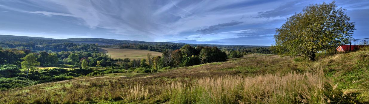 Summer morning near to the city of Dmitrov of Moscow Region, Russia