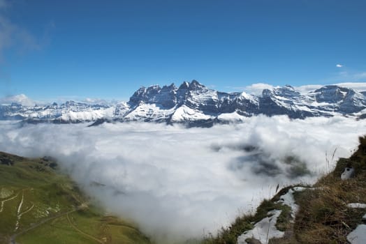 morning mist covers the meadows of the Swiss Alps