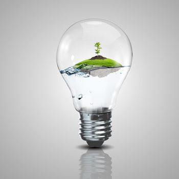 Electric light bulb and a plant inside it as symbol of green energy