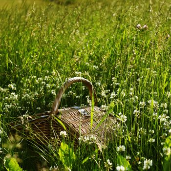 picnic basket in green grass