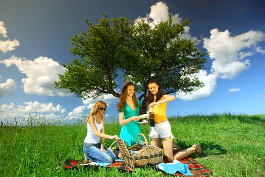 girlfriends on picnic in green grass