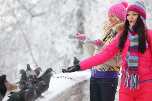 winter women give food to the pigeon