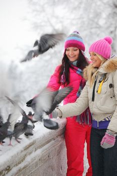 winter women give food to the pigeon