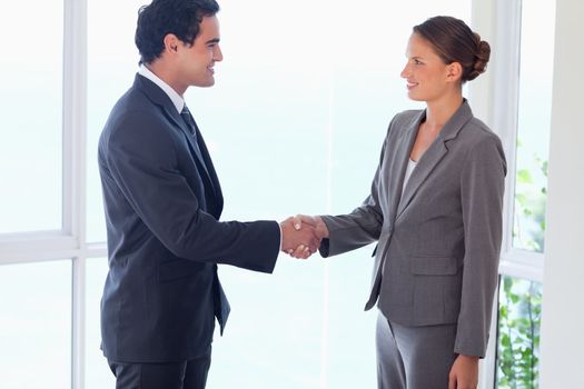 Side view of young business partner shaking hands