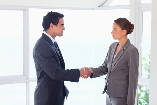 Side view of young trades partner closing deal
