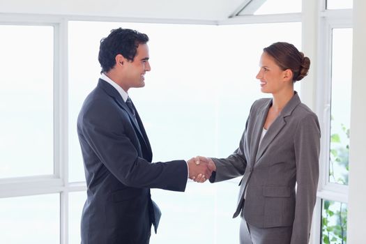 Side view of young trades partner shaking hands