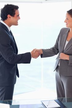 Side view of young business people welcoming each other