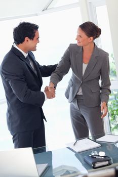 Young business partner shaking hands after closing a deal