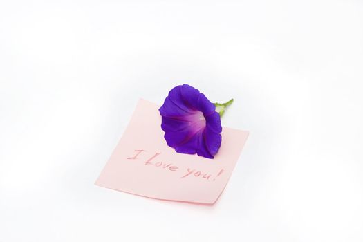 nice image of isolated paper reminder with romantic message