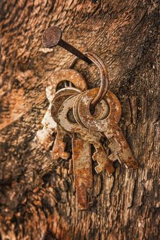 forgotten keys on an old nail clogged at the wall