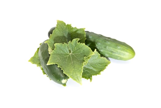 Cucumbers with its leaves isolated on a white background
