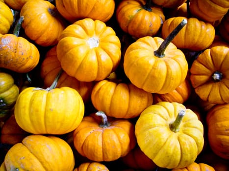 Pumpkins at an outdoor market California, USA