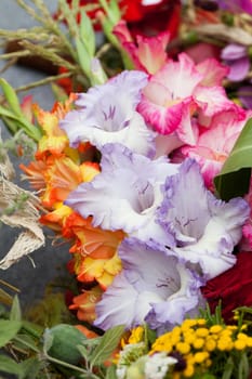 colorful bouquet of gladioli