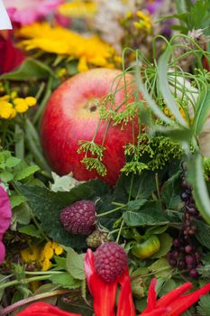 beautiful bouquets of flowers and herbs