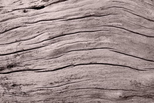 Abstract wood texture