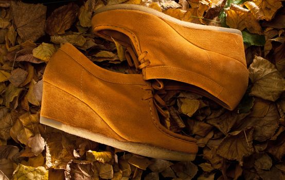 yellow suede shoes on dry autumn leaves