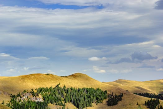 Suhard ridge, above the spruce forest, Romania